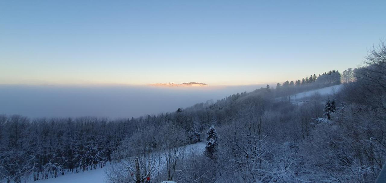 Ferienwohnungen Eismecke بيستفيغ المظهر الخارجي الصورة